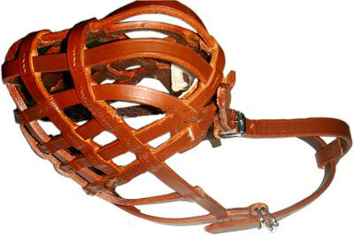 Manufacturers Exporters and Wholesale Suppliers of Bridle leather Dog muzzle Art 0111 Kanpur Uttar Pradesh